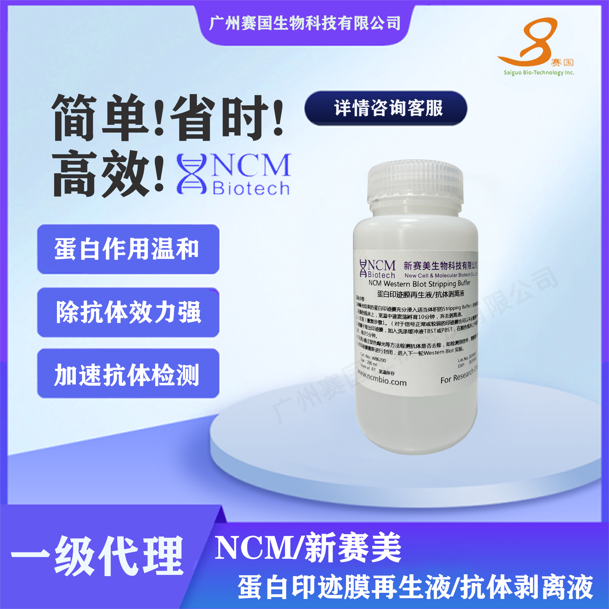 NCM/新賽美 蛋白印跡膜再生液/抗體剝離液-200ml